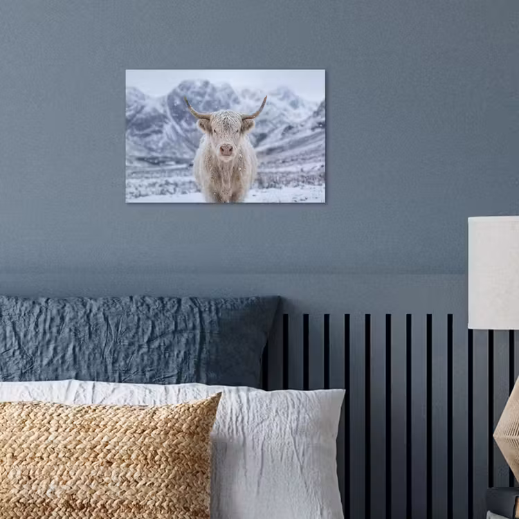 Poster - Schotse Hooglander - Sneeuw - Bergen - Winter — 3