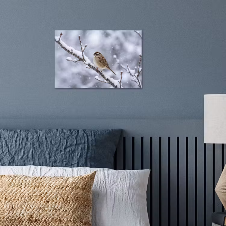 Poster - Vogel - Tak - Sneeuw - Winter — 3