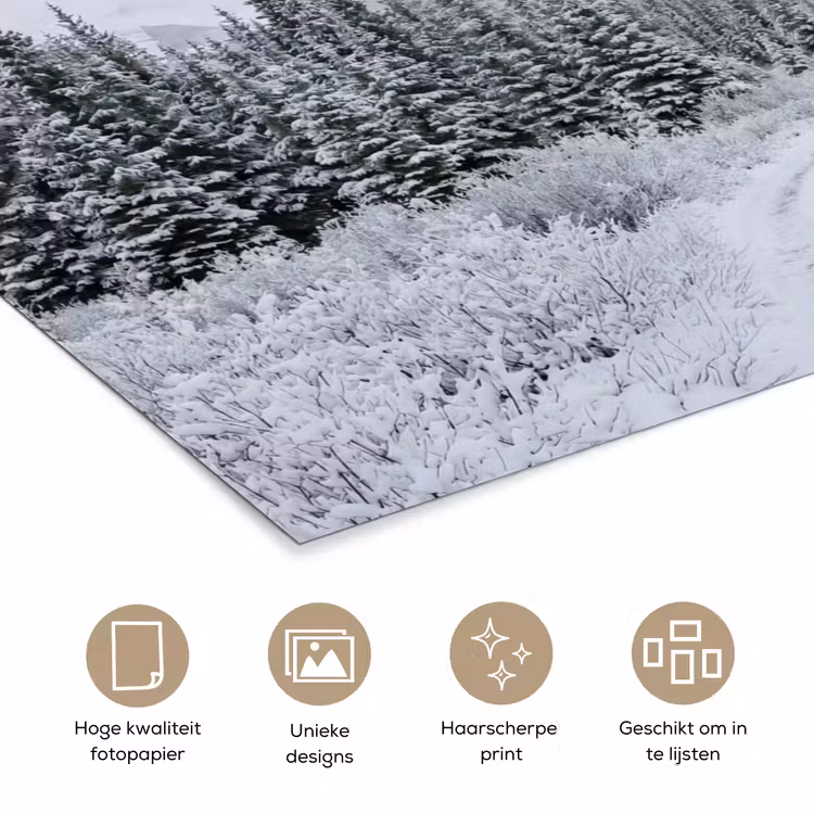 Poster - Weg - Bergen - Sneeuw - Naaldbos - Avontuurlijk — 5