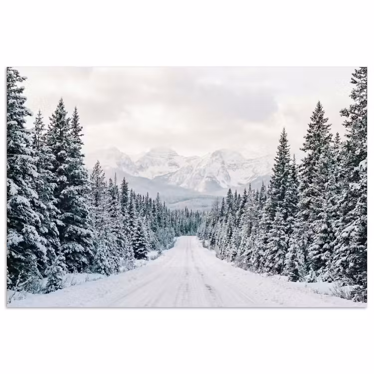 Poster - Weg - Sneeuw - Naaldbos - Winter - Avontuurlijk — 1
