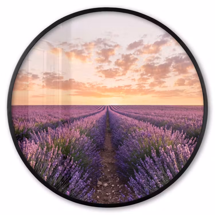 Ronde fotolijst - Landschap - Lavendelveld - Paars — 1