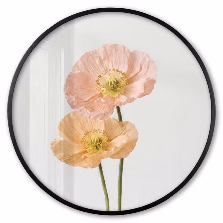 Ronde fotolijst - Papavers - Botanisch - Roze — 1