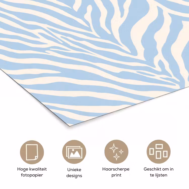 Poster - Zebra - Motief - Blauw - Wit — 5
