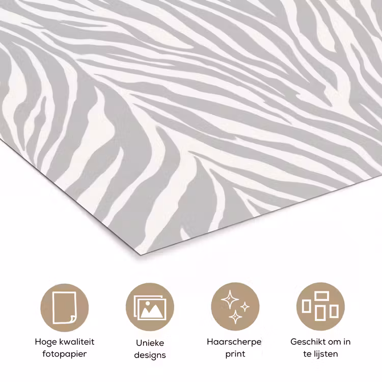 Poster - Zebra - Motief - Grijs — 5