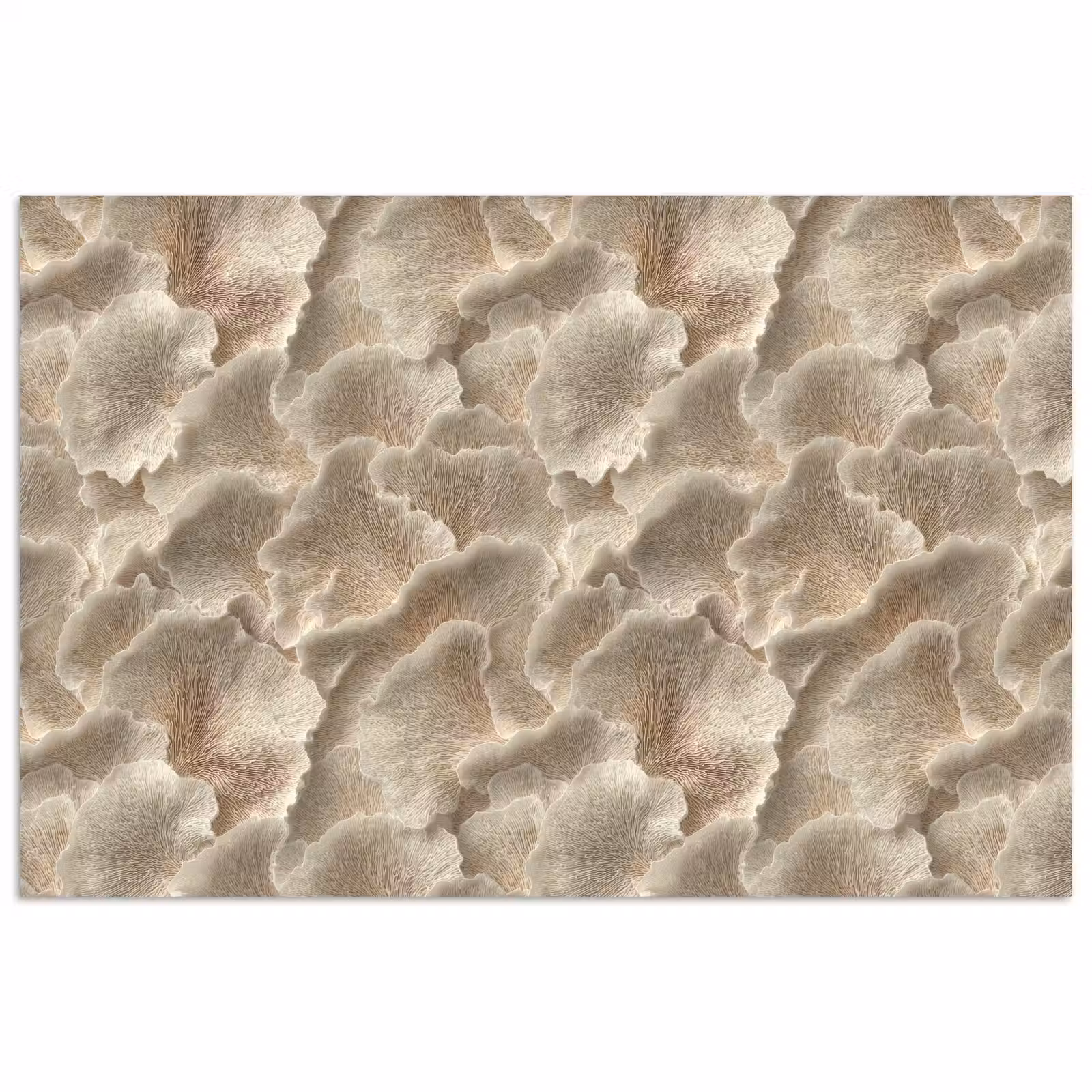 Poster - Waaierstructuren - Beige - Vezeltextuur — 1