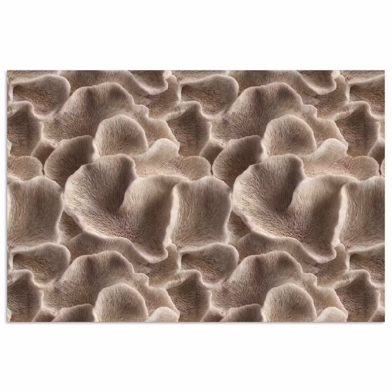 Poster - Waaiervorm - Beige - Vezel textuur — 1
