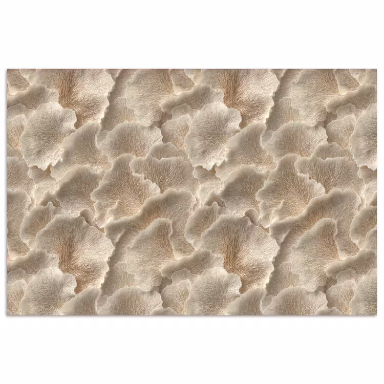 Poster - Waaierstructuren - Beige - Vezeltextuur — 1