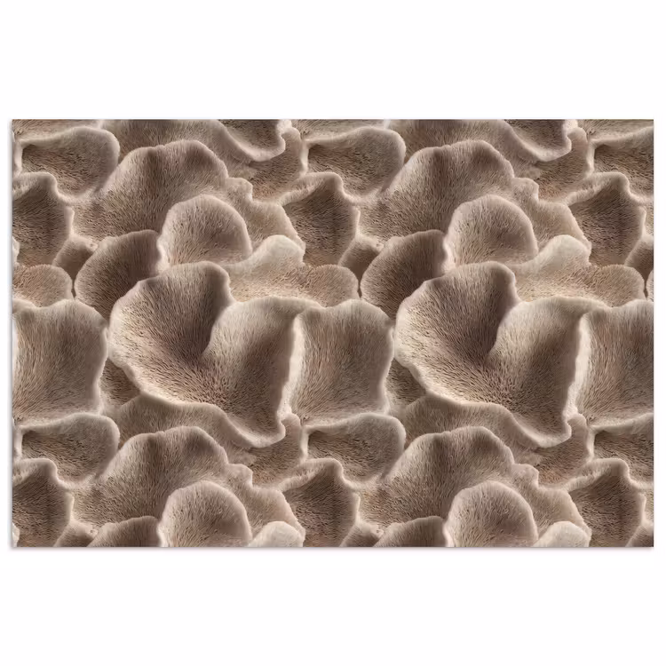 Poster - Waaiervorm - Beige - Vezel textuur — 1