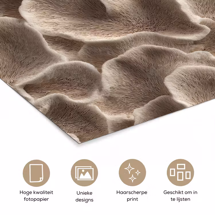 Poster - Waaiervorm - Beige - Vezel textuur — 5