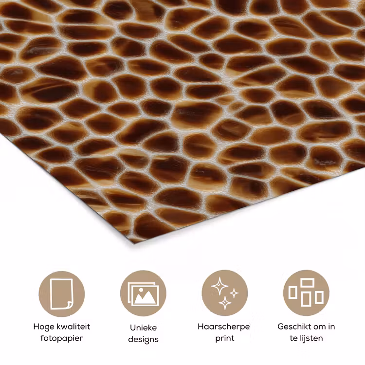 Poster - Schildpad - Bruin - Patroon — 5