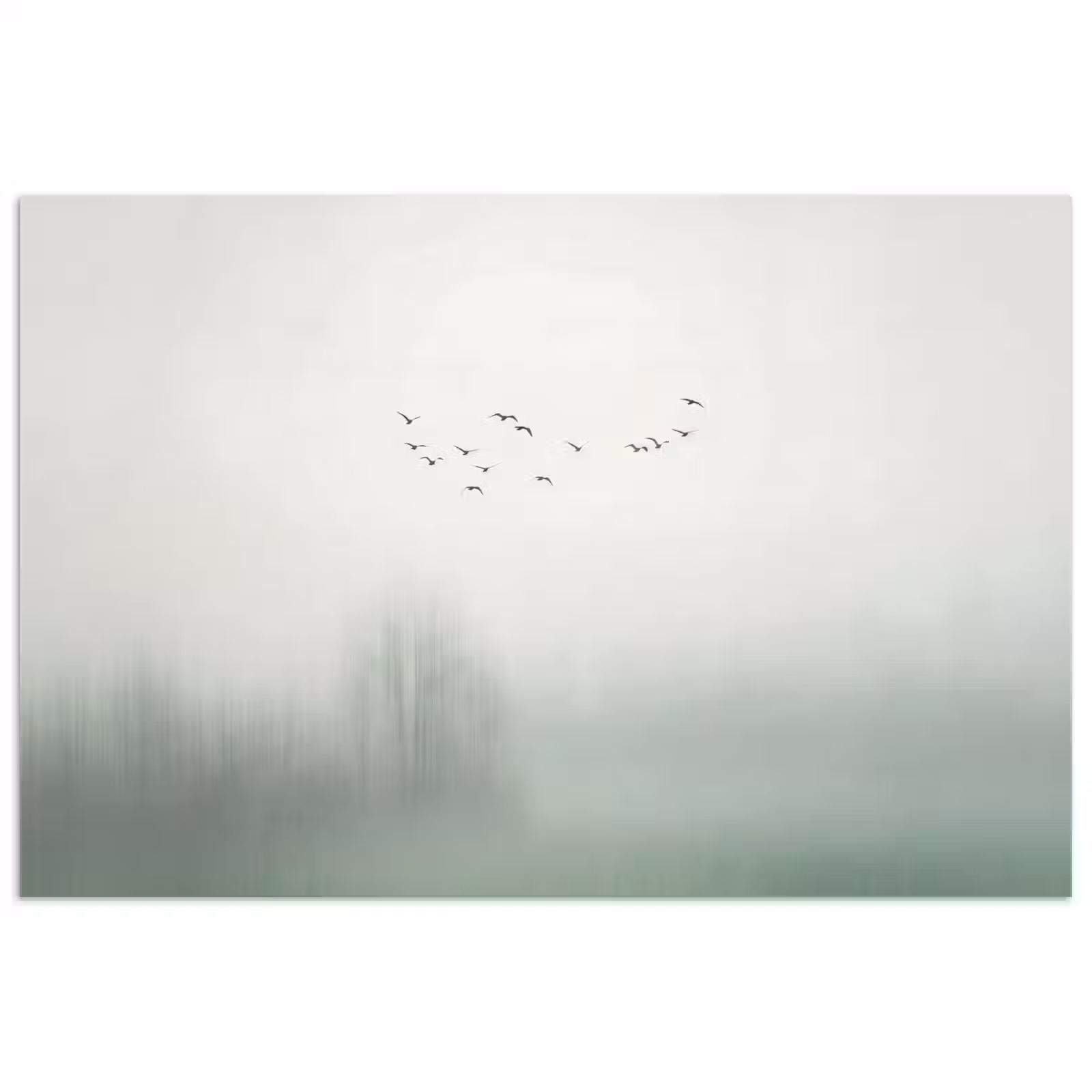 Poster - Vogel - Vlucht - Natuur - Minimalistisch — 1