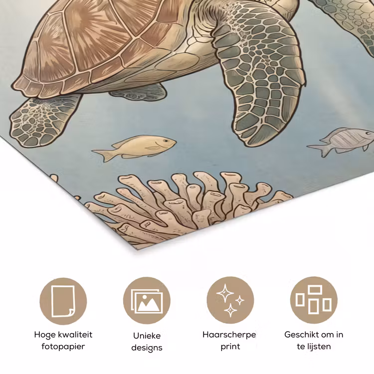 Poster - Schildpad - Onderwater - Natuur - Illustratie — 5