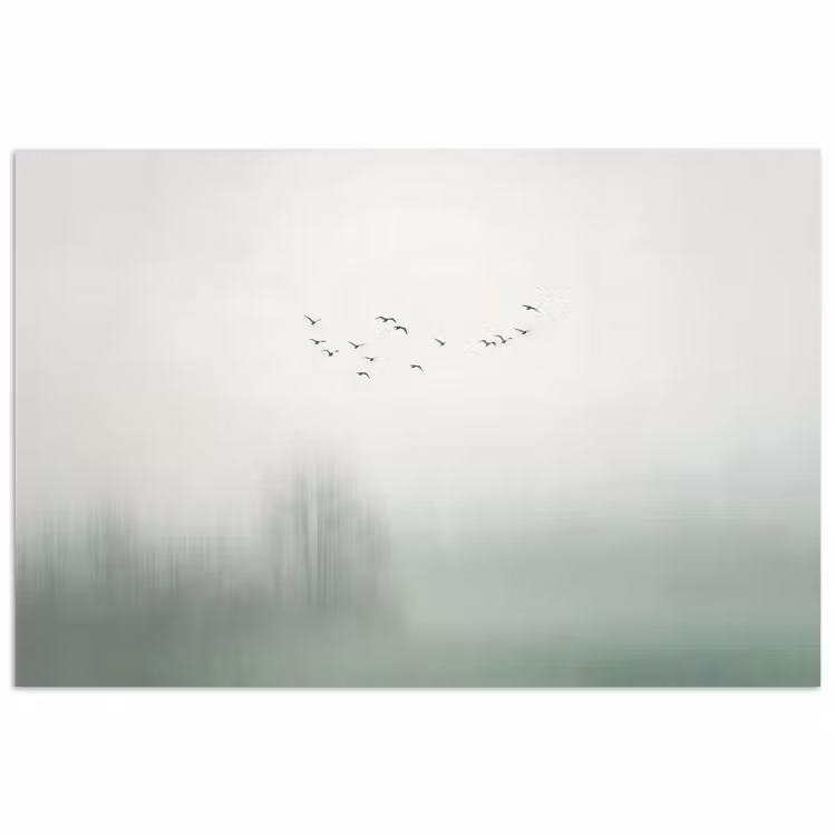 Poster - Vogel - Vlucht - Natuur - Minimalistisch — 1