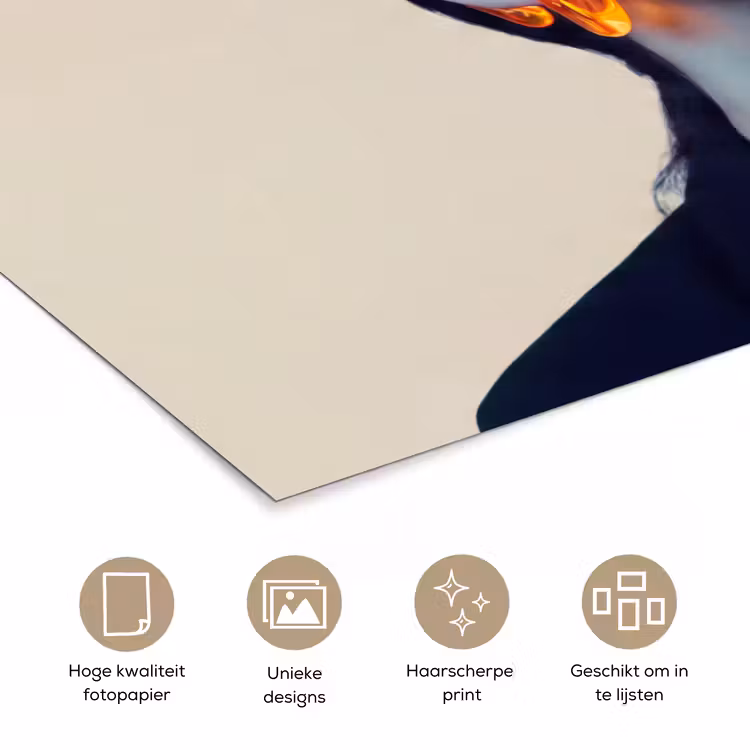 Poster - Vrouw - Oranje - Abstract - Modern - Kleurrijk — 5