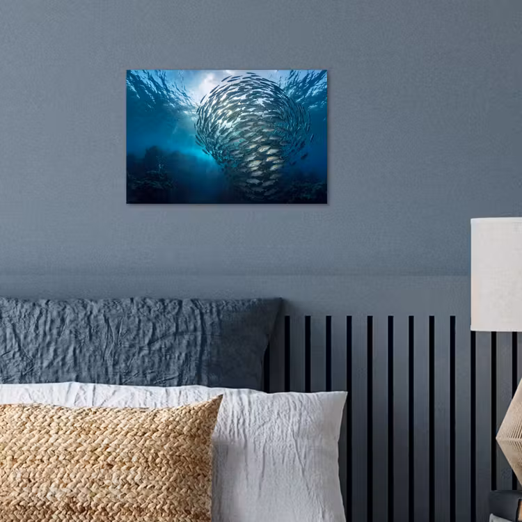 Poster - Vis - School - Oceaan - Natuur - Blauw — 3