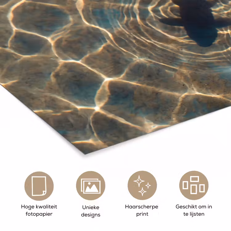 Poster - Vis - Water - Dieren - Oranje - Goud — 5
