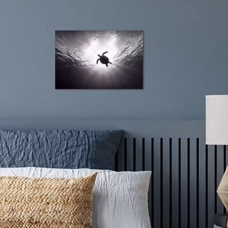 Poster - Schildpad - Onderwater - Lichtstralen - Oceaan - Zwart-wit — 3