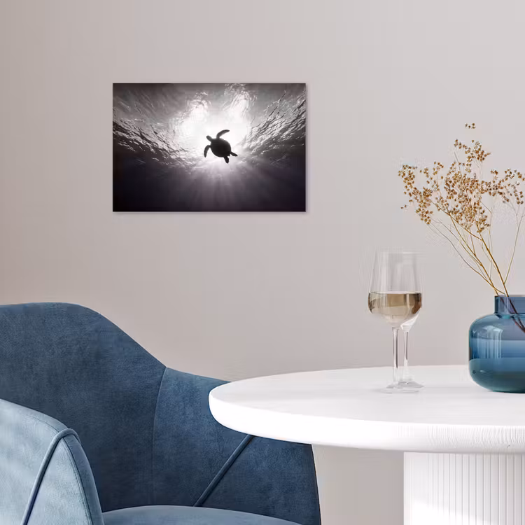 Poster - Schildpad - Onderwater - Lichtstralen - Oceaan - Zwart-wit — 4