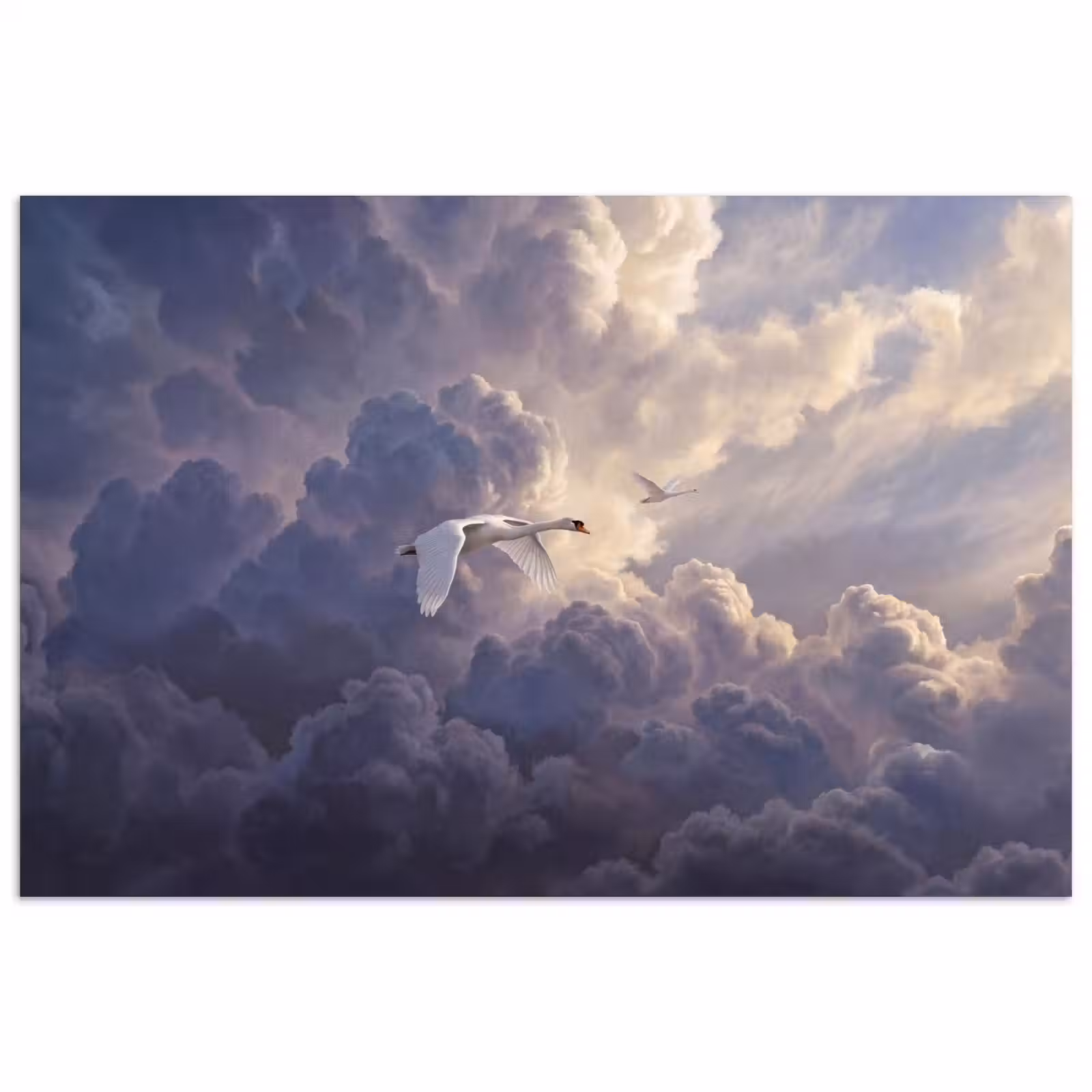 Poster - Vogel - Vliegend - Natuur - Wit - Wolken — 1