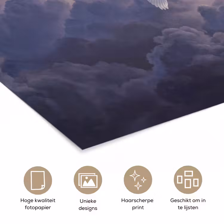 Poster - Vogel - Vliegend - Natuur - Wit - Wolken — 5