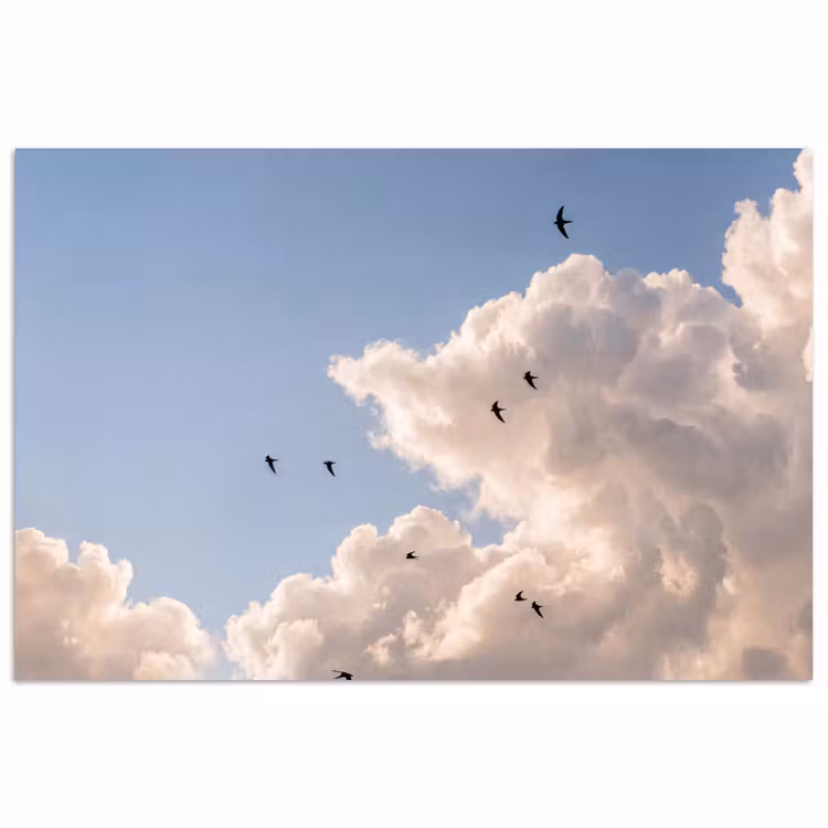 Poster - Vogel - Vlucht - Wolken - Natuur - Blauw — 1