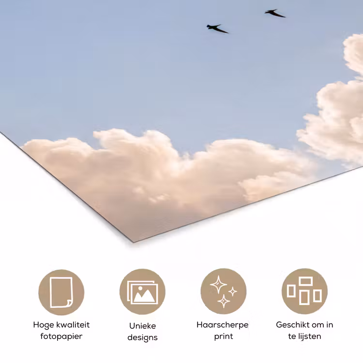 Poster - Vogel - Vlucht - Wolken - Natuur - Blauw — 5