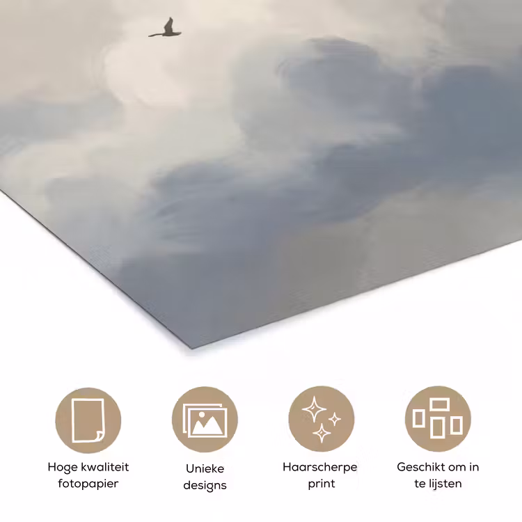 Poster - Vogel - Wolken - Natuur - Modern - Grijs — 5