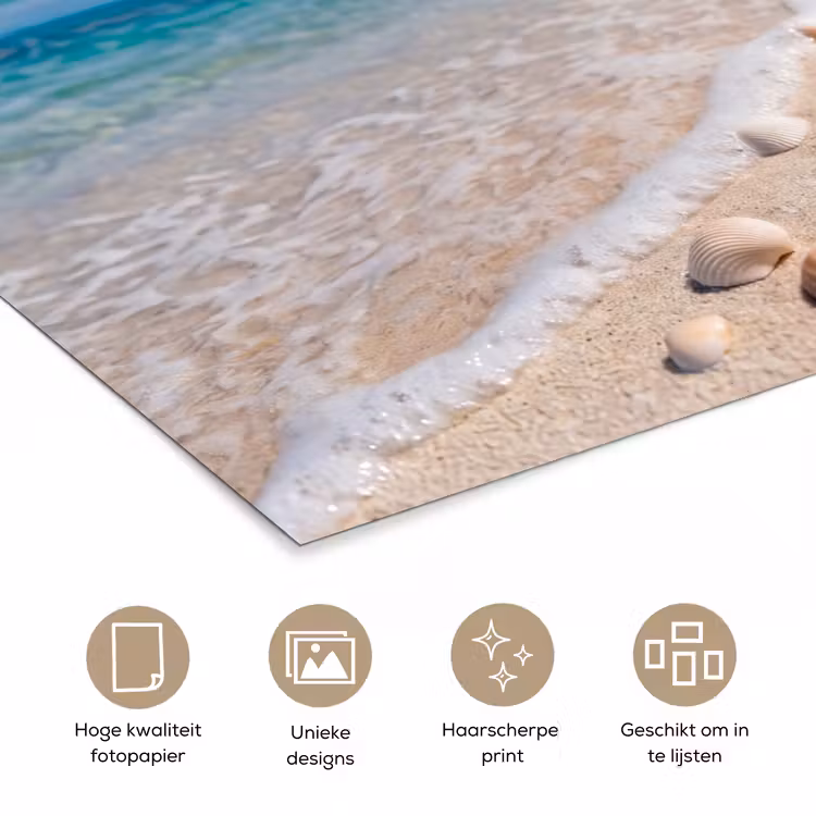 Poster - Schelpen - Strand - Natuur - Beige — 5