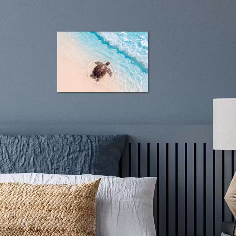 Poster - Schildpad - Helder water - Strand - Dieren - Natuur — 3