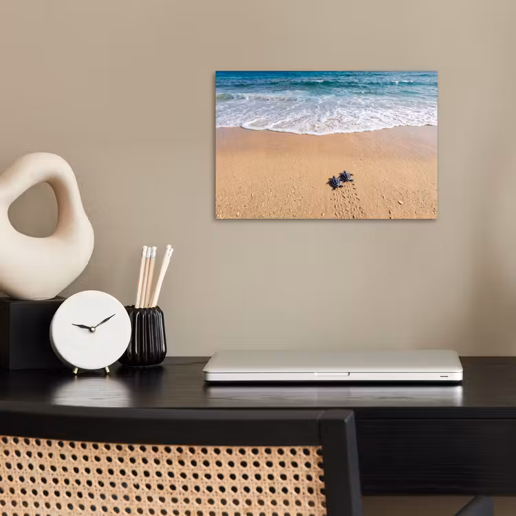 Poster - Schildpad - Jong - Strand - Oceaan - Blauw — 2