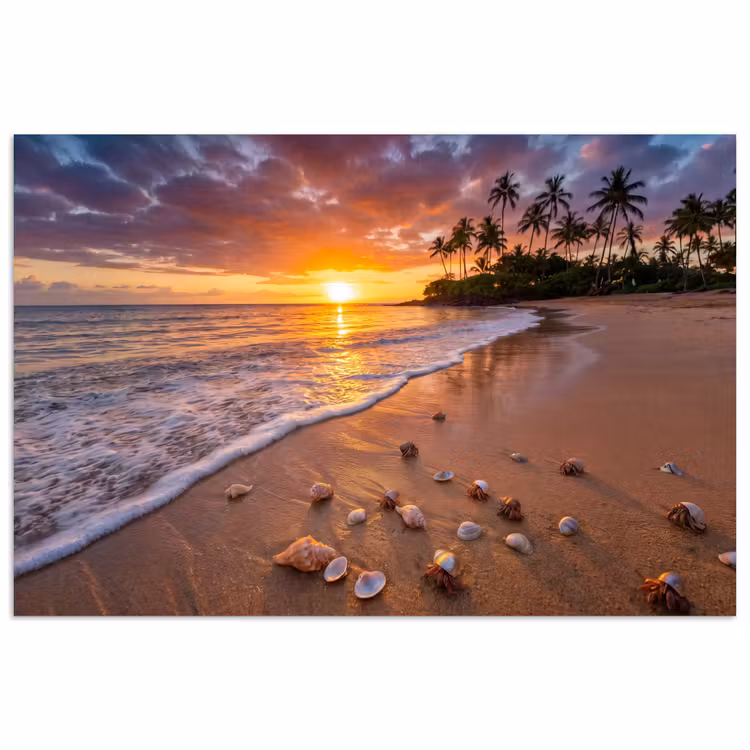 Poster - Strand - Zonsondergang - Palmbomen - Natuur - Oranje — 1