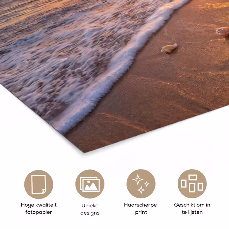 Poster - Strand - Zonsondergang - Palmbomen - Natuur - Oranje — 5