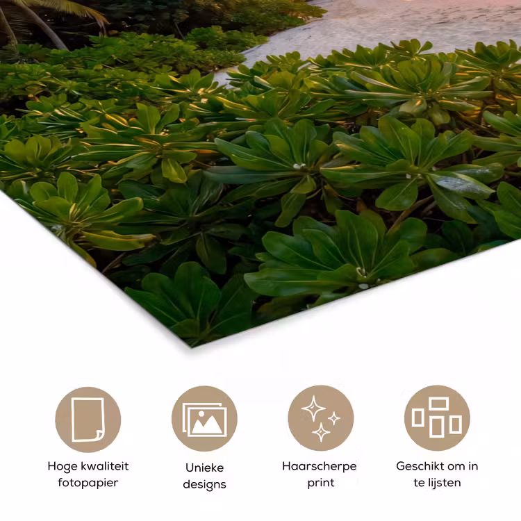 Poster - Strand - Zonsondergang - Palmbomen - Tropisch - Natuur — 5