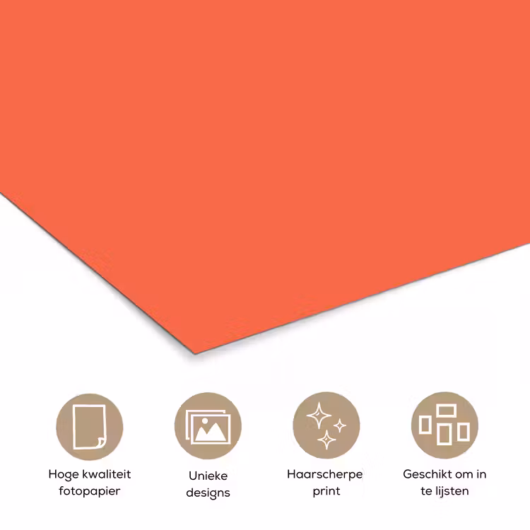 Poster - Sunset - Salmon - Oranje — 5