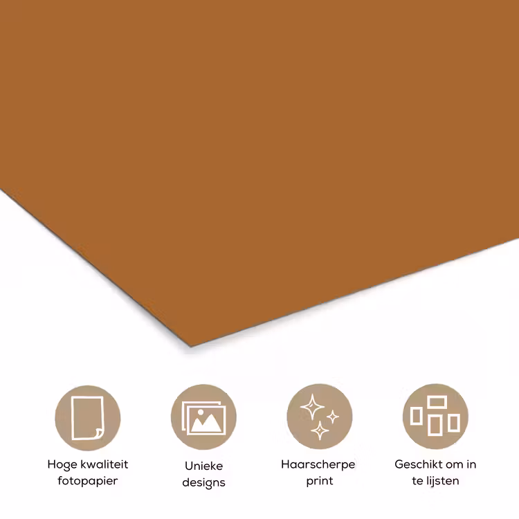 Poster - Spiced - Cinnamon - Bruin — 5