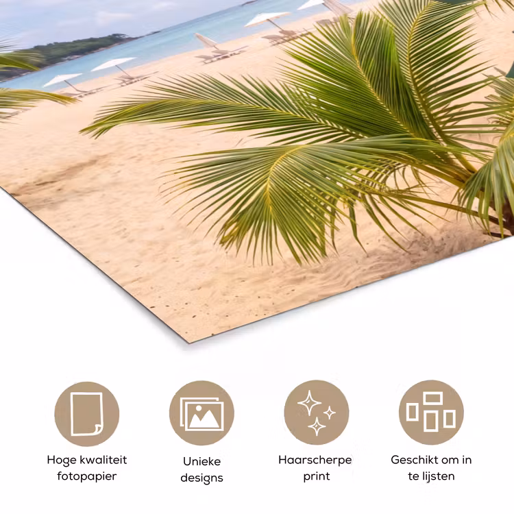 Poster - Strand - Wegwijzer - Palmen - Tropisch - Groen — 5