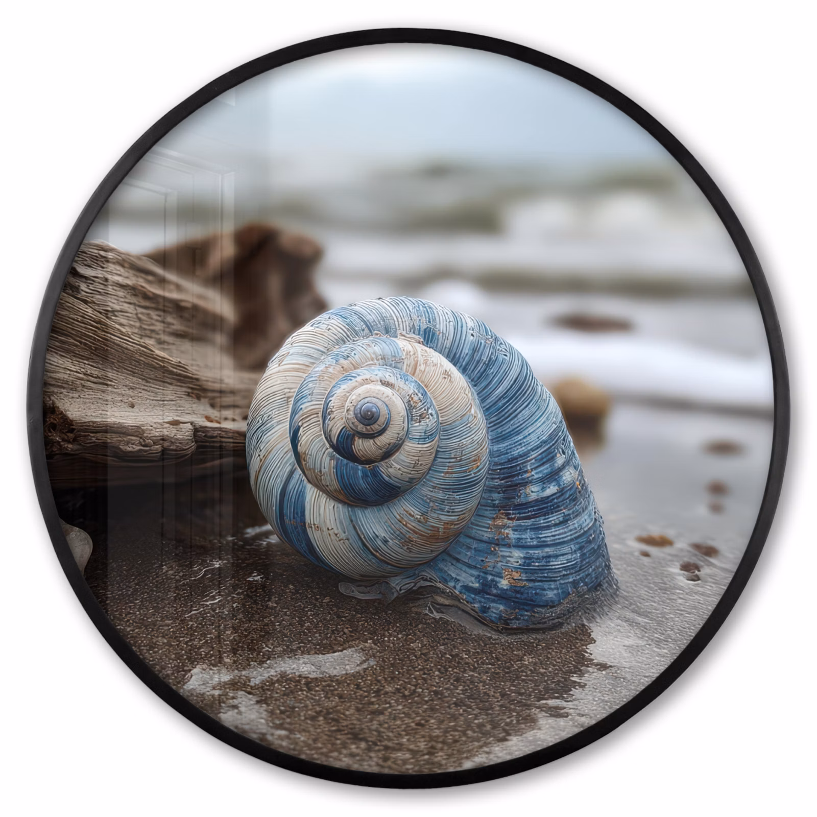 Ronde fotolijst - Schelp - Strand - Blauw - Zee — 1