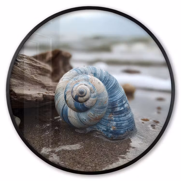 Ronde fotolijst - Schelp - Strand - Blauw - Zee — 1