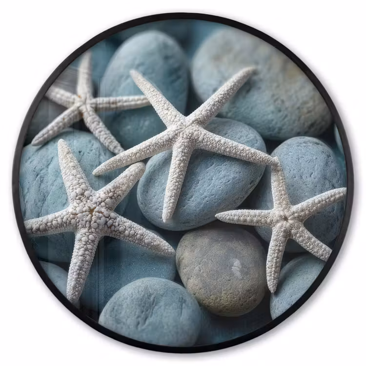 Ronde fotolijst - Zeesterren - Stenen - Wit — 1