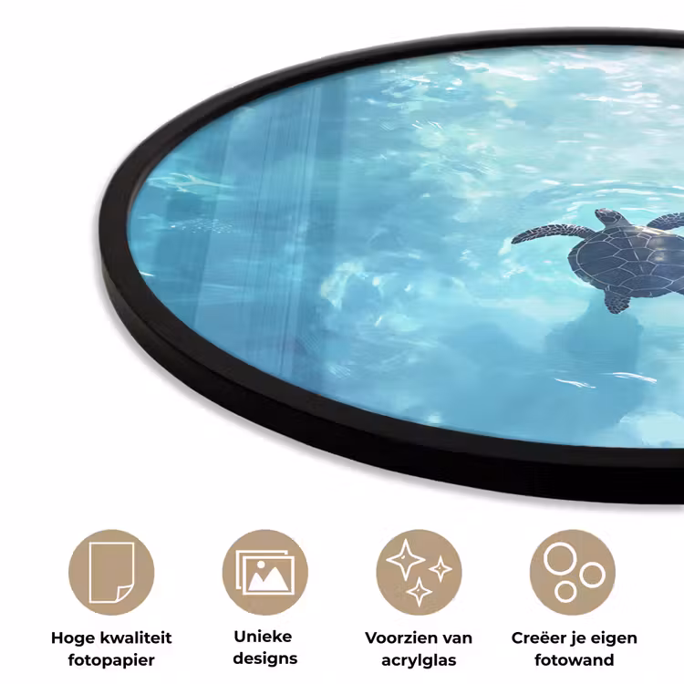 Ronde fotolijst - Schildpad - Zee - Blauw - Schittering — 5