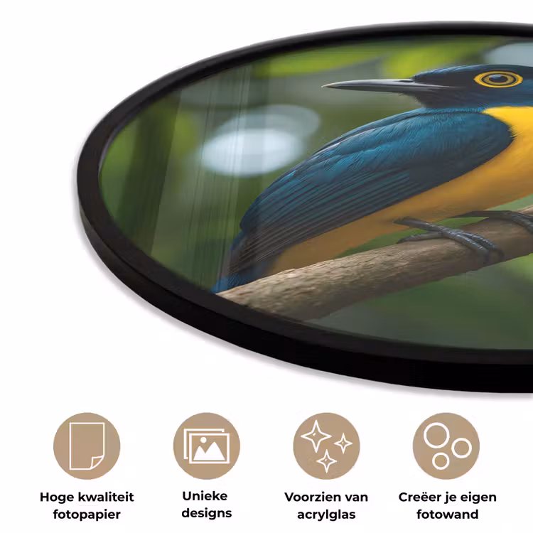 Ronde fotolijst - Vogel - Tak - Geel - Bladeren — 5