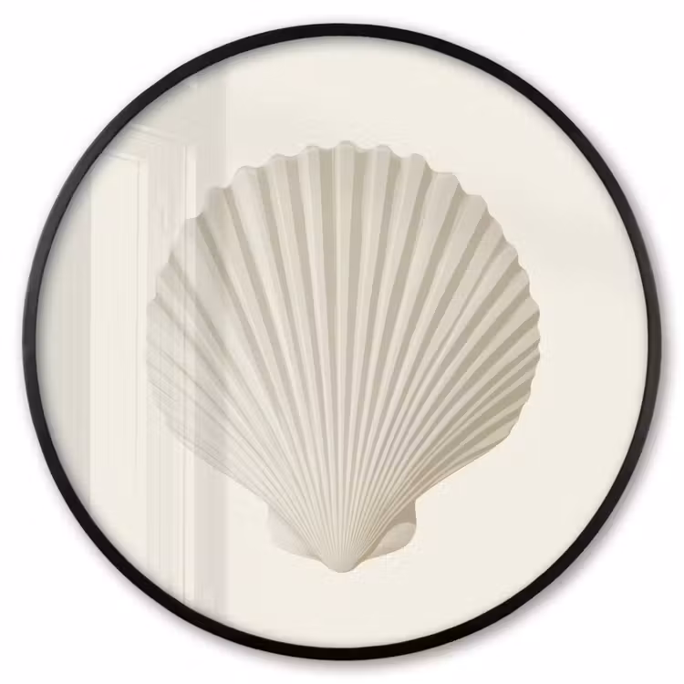 Ronde fotolijst - Schelp - Minimalistisch - Wit — 1
