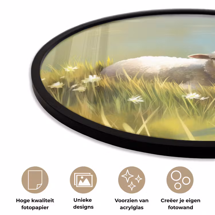 Ronde fotolijst - Schaap - Weide - Groen — 5