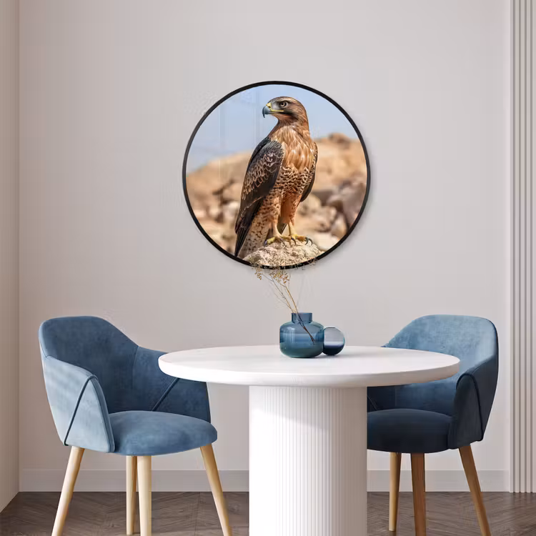 Ronde fotolijst - Valk - Vogel - Rots - Macht — 3