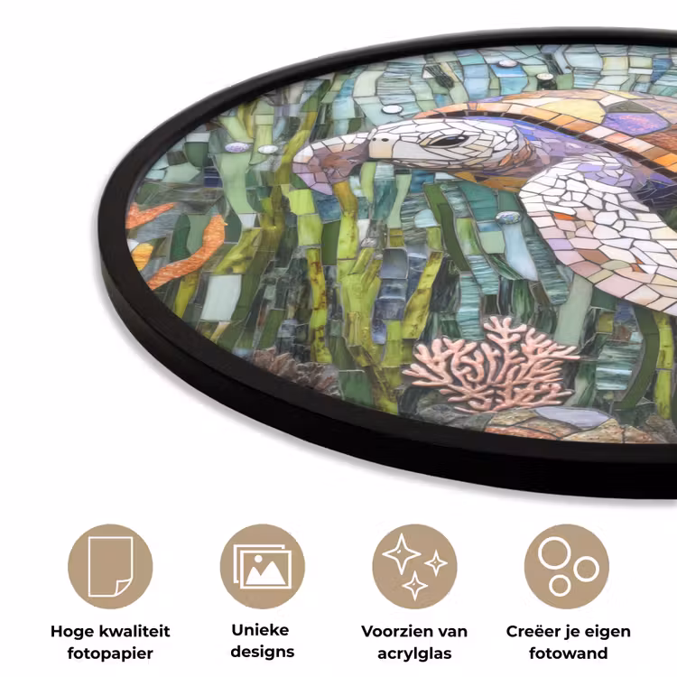 Ronde fotolijst - Schildpad - Zeewier - Mozaïek — 5