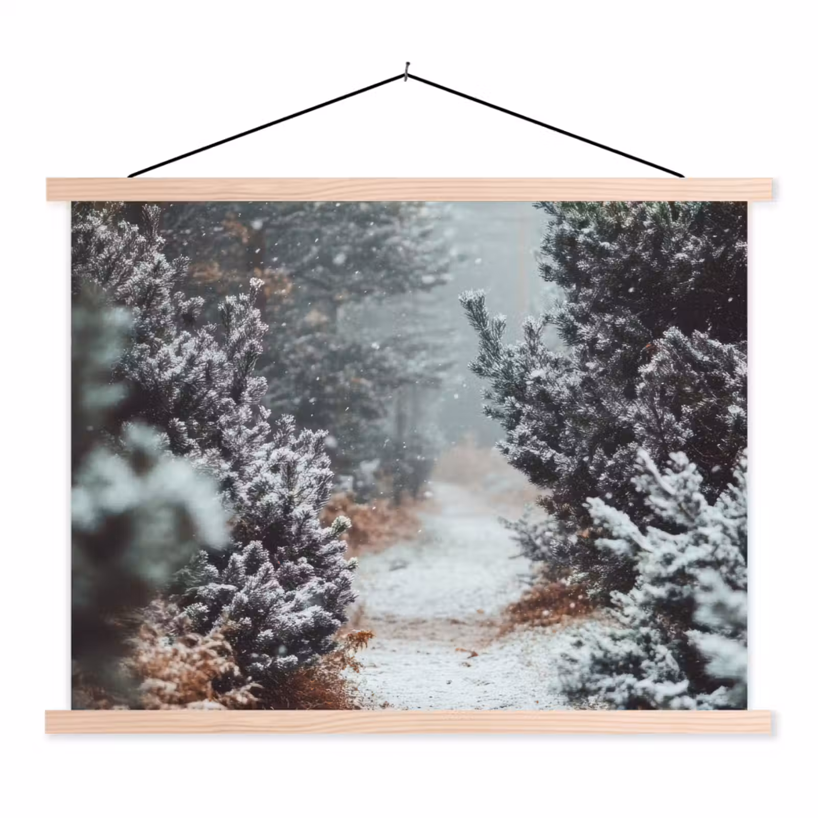 Schoolplaat - Bos - Winter - Bomen - Natuur - Pad - Sneeuw — 1