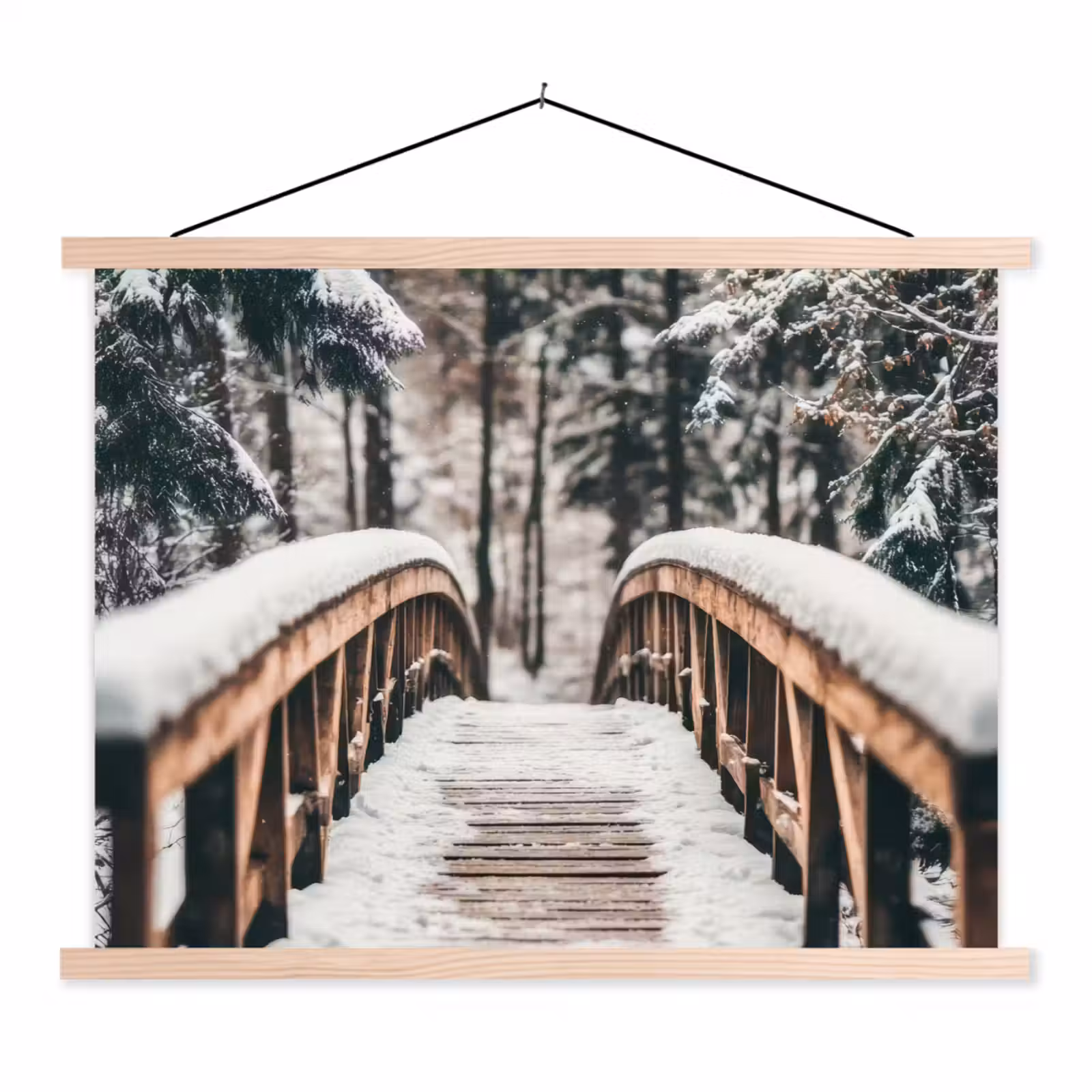 Schoolplaat - Brug - Winterlandschap - Bos - Natuur - Sneeuw — 1