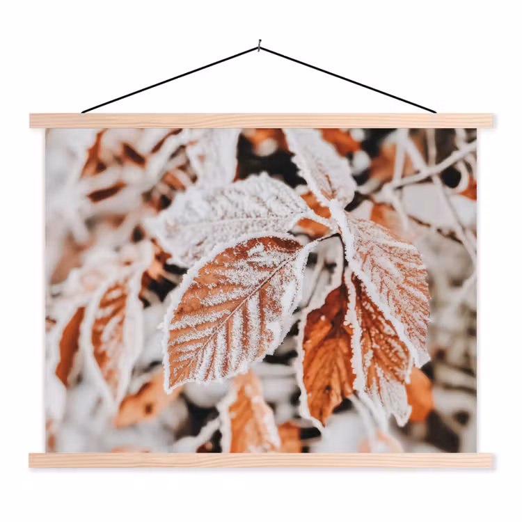 Schoolplaat - Bladeren - IJs - Winter - Natuur — 1
