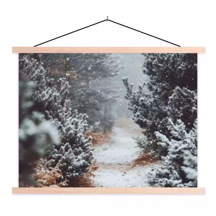 Schoolplaat - Bos - Winter - Bomen - Natuur - Pad - Sneeuw — 1