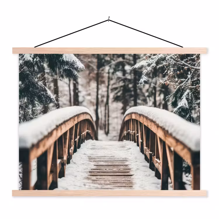 Schoolplaat - Brug - Winterlandschap - Bos - Natuur - Sneeuw — 1
